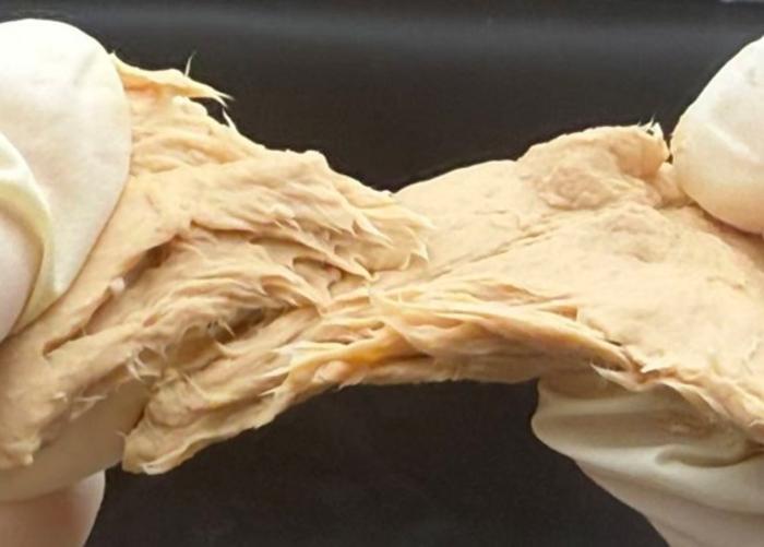 قارچ مهندسی ژنتیکی‌شده برای جایگزینی گوشت